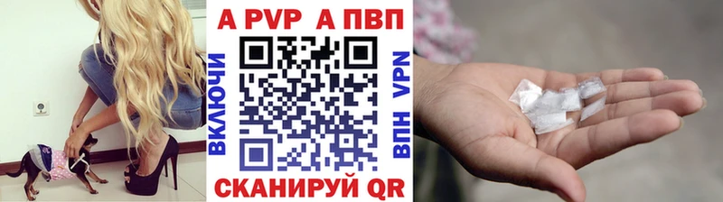 A-PVP СК  Дзержинск 