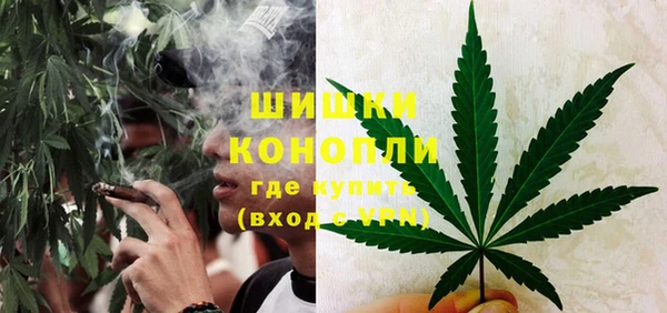 дурь Волосово