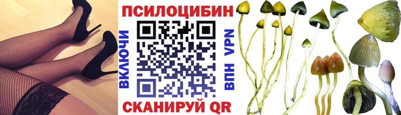 Псилоцибиновые грибы MAGIC MUSHROOMS  Дзержинск 